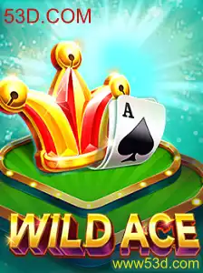 Explorando o Universo do Jogo WildAce: Regras e Introdução